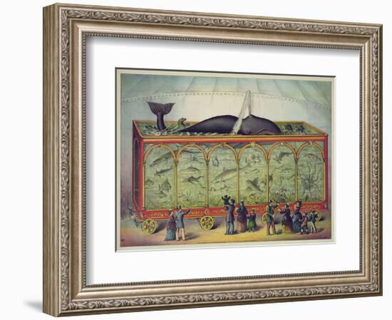 The Aquarium-null-Framed Giclee Print