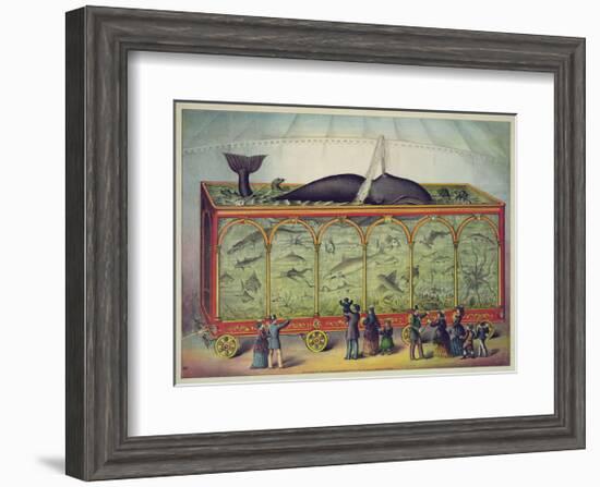 The Aquarium-null-Framed Giclee Print