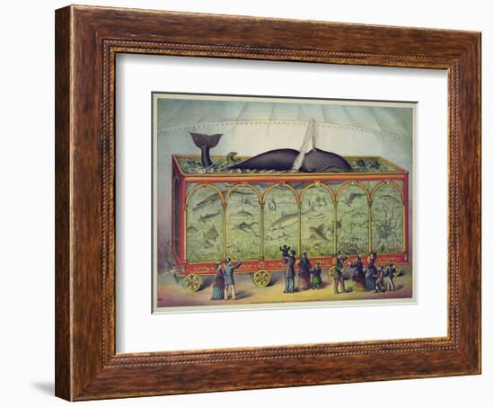 The Aquarium-null-Framed Giclee Print