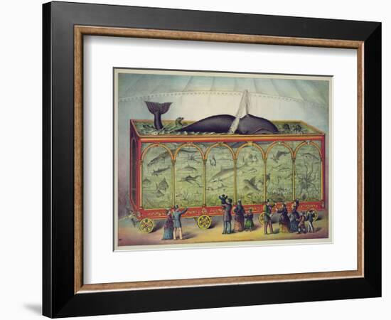 The Aquarium-null-Framed Giclee Print