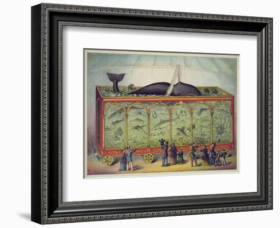 The Aquarium-null-Framed Giclee Print