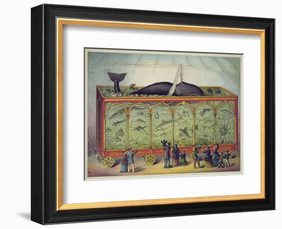 The Aquarium-null-Framed Giclee Print