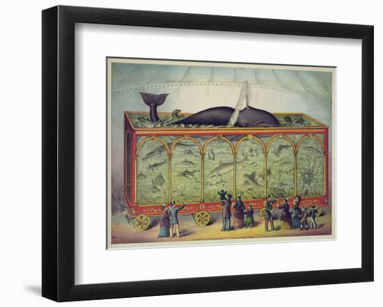 The Aquarium-null-Framed Giclee Print