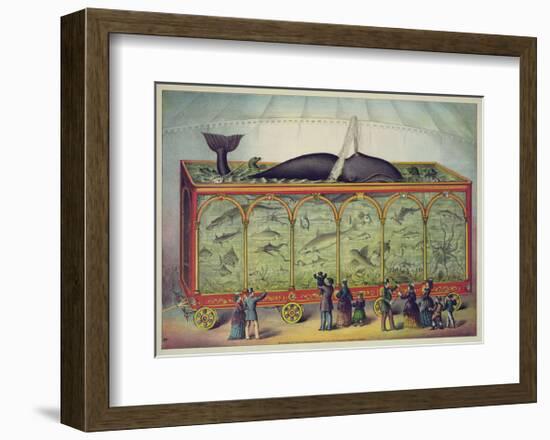 The Aquarium-null-Framed Giclee Print