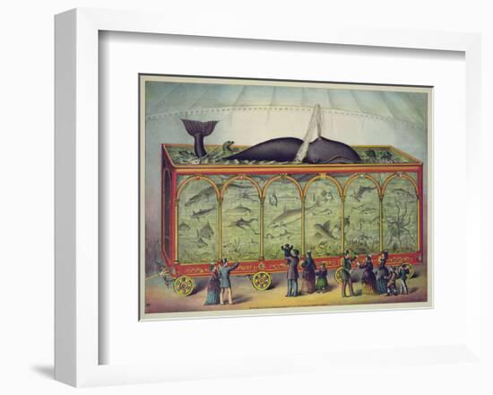 The Aquarium-null-Framed Giclee Print