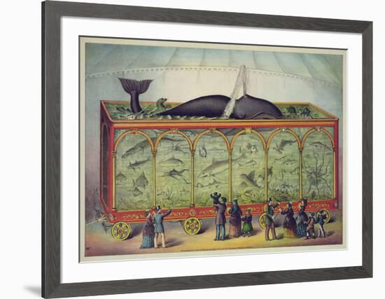 The Aquarium-null-Framed Giclee Print