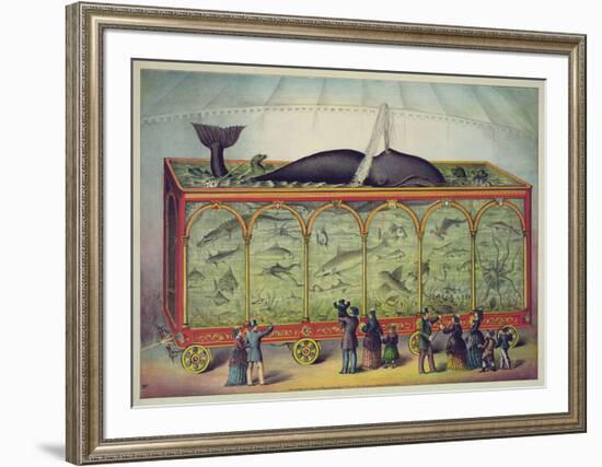 The Aquarium-null-Framed Giclee Print