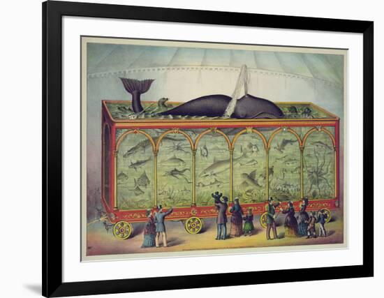 The Aquarium-null-Framed Giclee Print