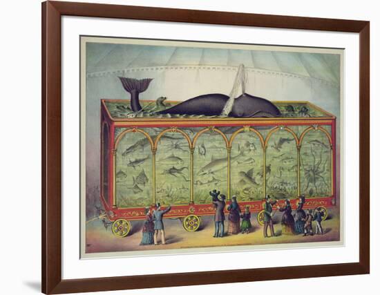 The Aquarium-null-Framed Giclee Print