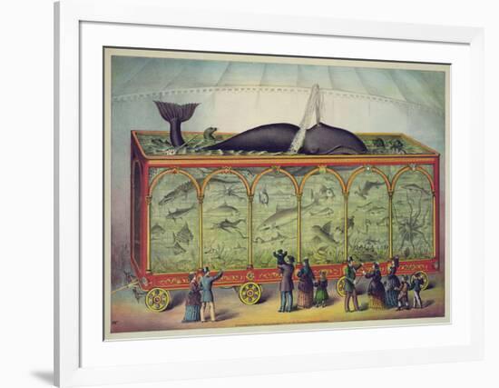 The Aquarium-null-Framed Giclee Print