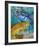 The Aquarium-null-Framed Art Print