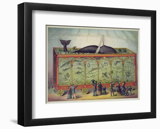 The Aquarium-Vintage Reproduction-Framed Art Print