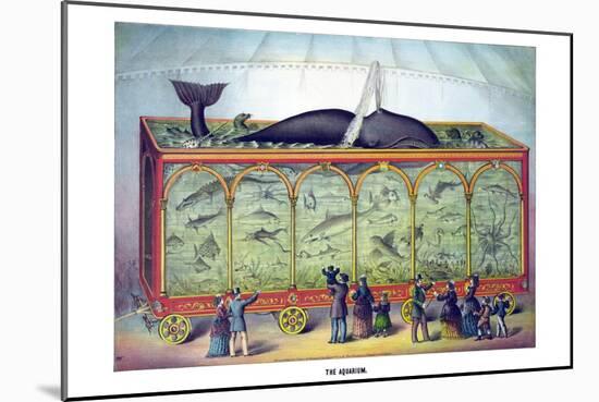 The Aquarium-Gibson & Co-Mounted Art Print