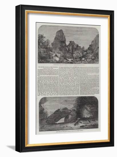 The Aquatic Vivarium at the Zoological Gardens, Regent's Park-Samuel Read-Framed Giclee Print