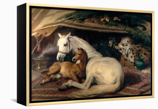 The Arab Tent, 1866-Edwin Henry Landseer-Framed Stretched Canvas