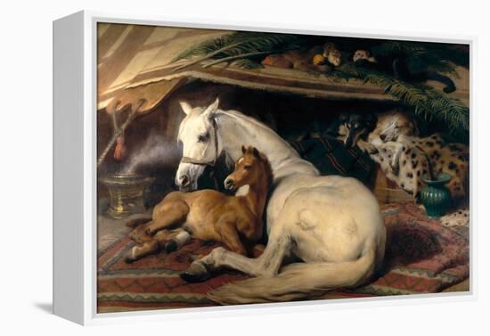 The Arab Tent, 1866-Edwin Henry Landseer-Framed Stretched Canvas