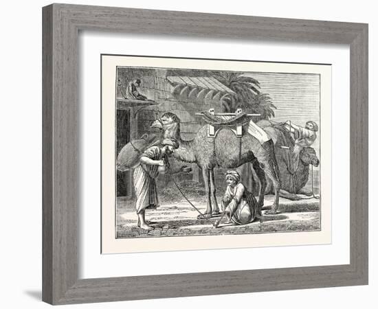The Arabian Camel-null-Framed Giclee Print