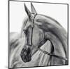 The Arabian Horse-null-Mounted Art Print