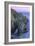 The Arch at Bodega Head-Vincent James-Framed Photographic Print