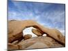 The Arch at White Tank Campground, Joshua Tree National Park, California-James Hager-Mounted Photographic Print