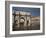 The Arch of Constantine With the Colosseum in the Background, Rome, Lazio, Italy-Carlo Morucchio-Framed Photographic Print