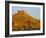 The Archaeological Site and Arab Castle, Palmyra, Unesco World Heritage Site, Syria, Middle East-Sylvain Grandadam-Framed Photographic Print