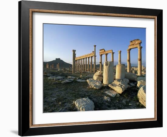 The Archaeological Site, Palmyra, Unesco World Heritage Site, Syria, Middle East-Bruno Morandi-Framed Photographic Print