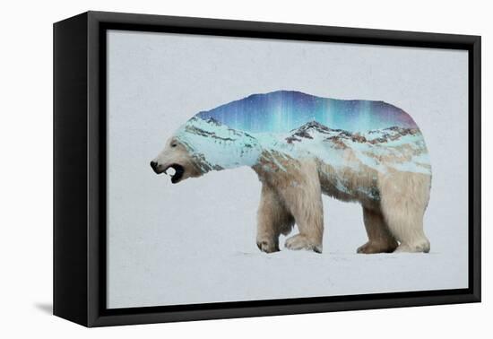 The Arctic Polar Bear-Davies Babies-Framed Stretched Canvas