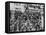 The Arrival of 2447 Italian Immigrants at New York-null-Framed Premier Image Canvas