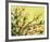 The Arrival of Spring-Jennifer Lommers-Framed Giclee Print