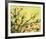 The Arrival of Spring-Jennifer Lommers-Framed Giclee Print