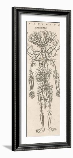 The Arteries of the Human Body-null-Framed Photographic Print