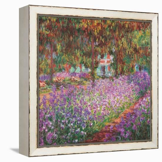 The Artist's Garden At Giverny, c.1900-Claude Monet-Framed Stretched Canvas