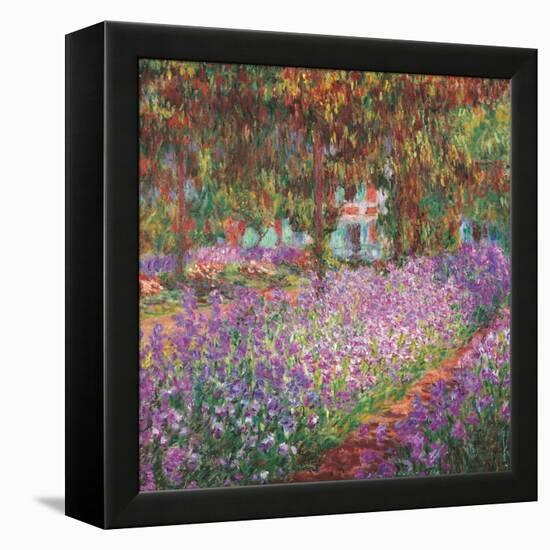 The Artist's Garden At Giverny, c.1900-Claude Monet-Framed Stretched Canvas