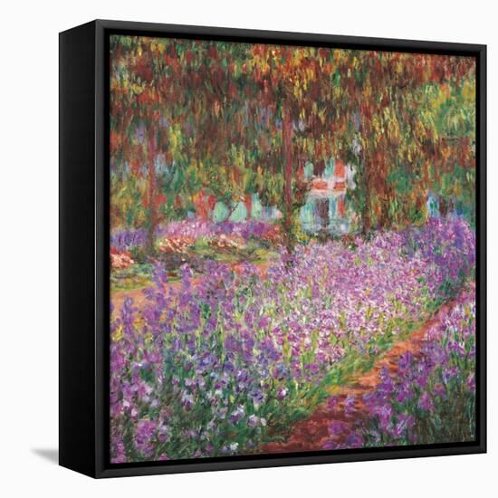 The Artist's Garden At Giverny, c.1900-Claude Monet-Framed Stretched Canvas