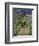 The Artist's Garden at Vetheuil, 1880-Claude Monet-Framed Premium Giclee Print