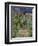 The Artist's Garden at Vetheuil, 1880-Claude Monet-Framed Premium Giclee Print