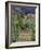 The Artist's Garden at Vetheuil, 1880-Claude Monet-Framed Premium Giclee Print