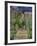 The Artist's Garden at Vetheuil, 1880-Claude Monet-Framed Giclee Print