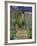 The Artist's Garden at Vetheuil, 1880-Claude Monet-Framed Giclee Print