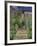 The Artist's Garden at Vetheuil, 1880-Claude Monet-Framed Giclee Print