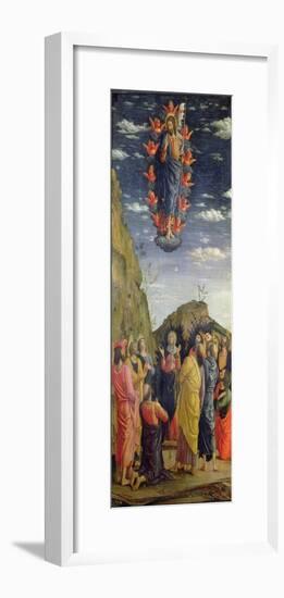 The Ascension, Left Hand Panel from the Altarpiece, c.1466-Andrea Mantegna-Framed Giclee Print