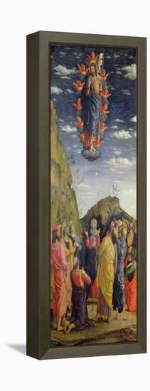 The Ascension, Left Hand Panel from the Altarpiece, c.1466-Andrea Mantegna-Framed Premier Image Canvas