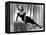 The Asphalt Jungle, Marilyn Monroe, 1950-null-Framed Stretched Canvas