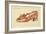 The Assault of the Shoe, 1888-Henri-Charles Guérard-Framed Giclee Print