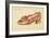 The Assault of the Shoe, 1888-Henri-Charles Guérard-Framed Giclee Print