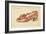 The Assault of the Shoe, 1888-Henri-Charles Guérard-Framed Giclee Print