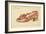 The Assault of the Shoe, 1888-Henri-Charles Guérard-Framed Giclee Print