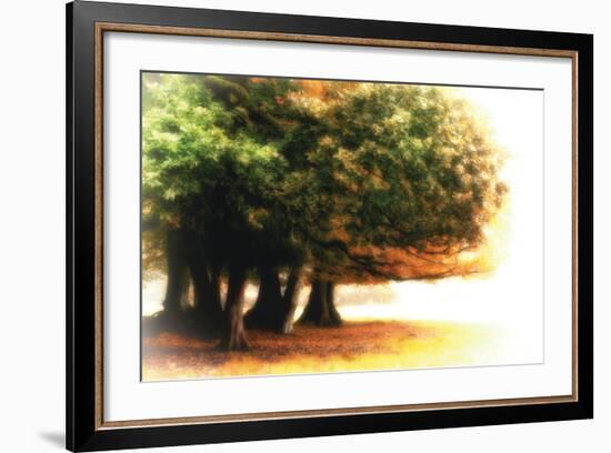 The Assembly-Viviane Fedieu Daniel-Framed Photographic Print