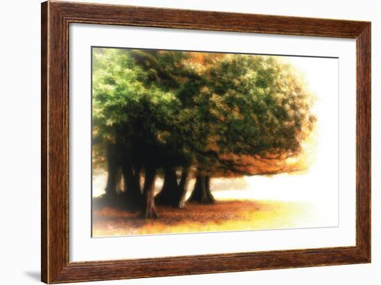 The Assembly-Viviane Fedieu Daniel-Framed Photographic Print